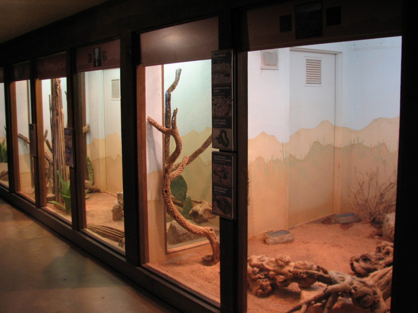 Arizona Trail - Native Reptile Exhibits