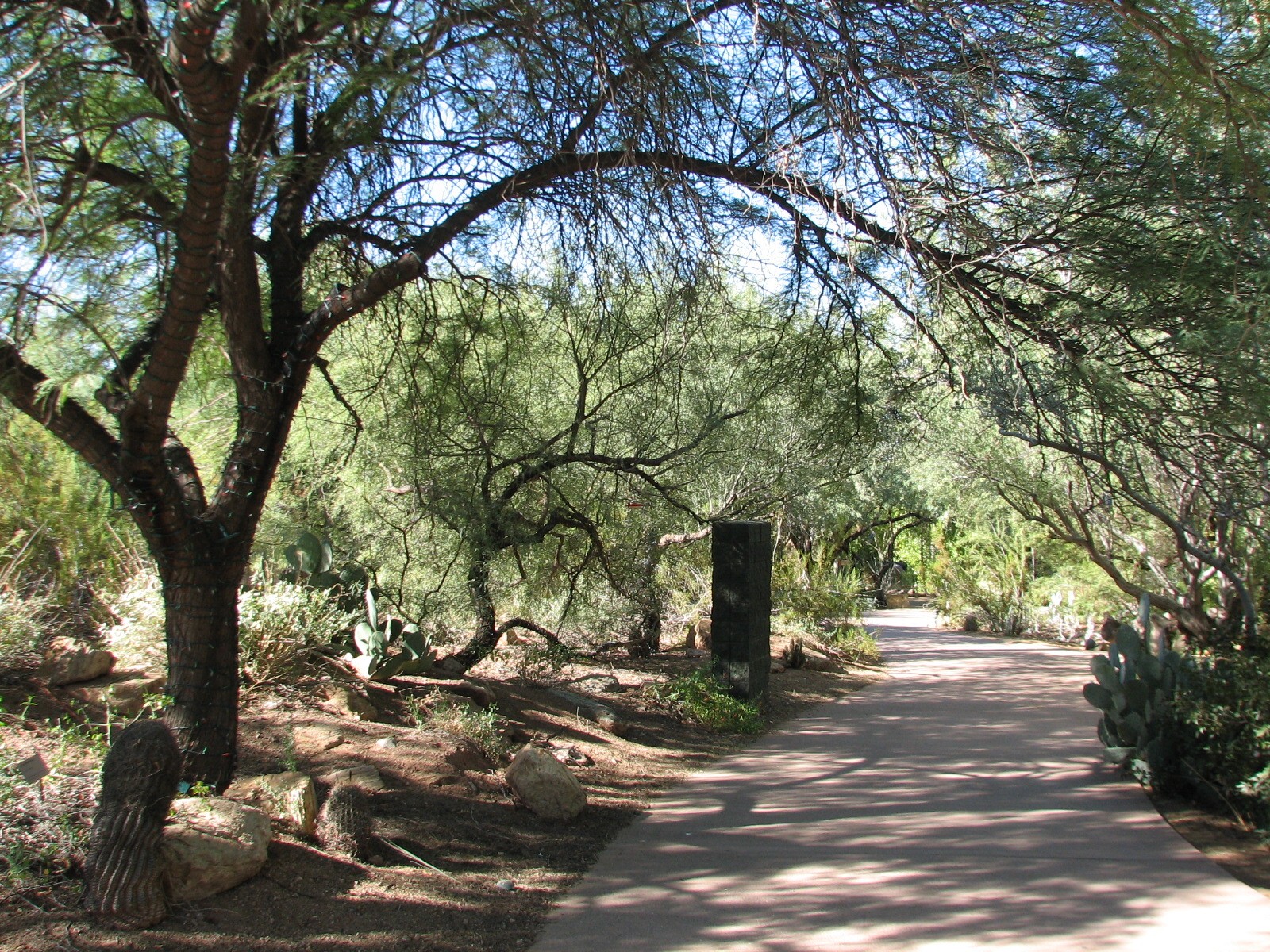 Arizona Trail - Pathway