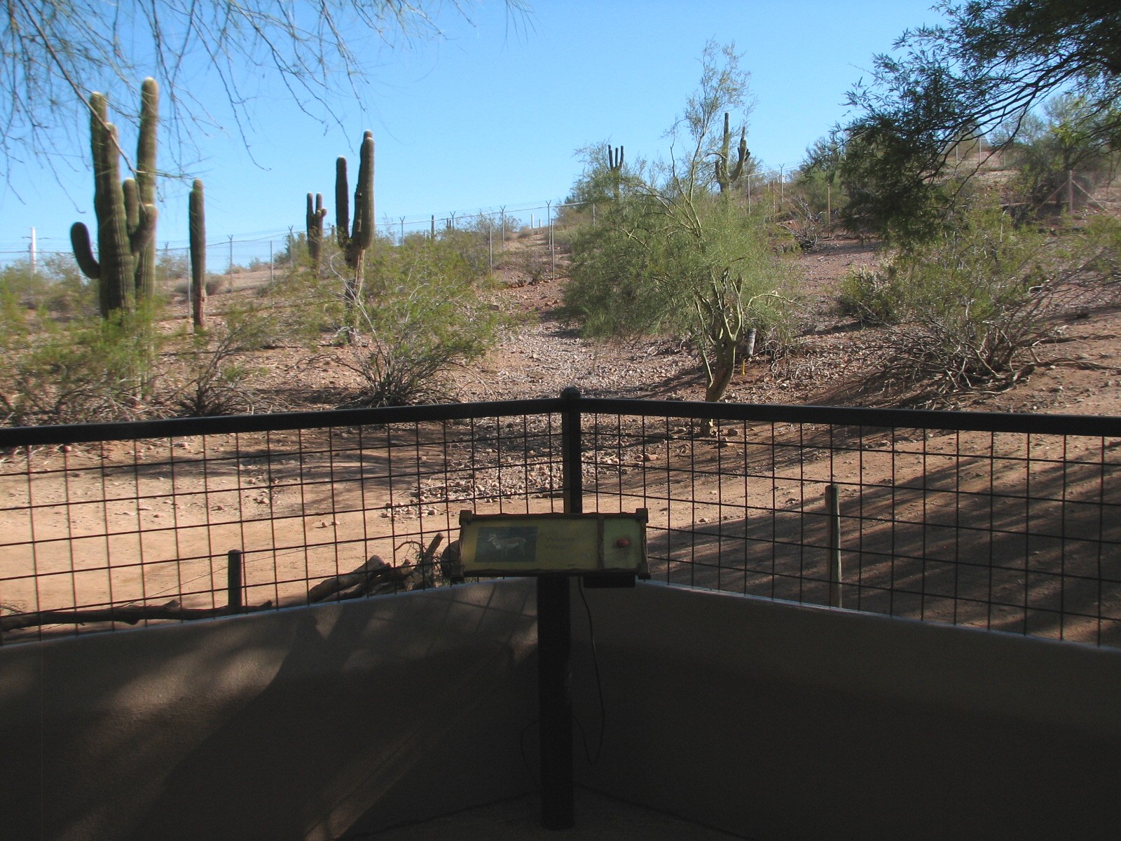 Arizona Trail - Pronghorn Exhibit