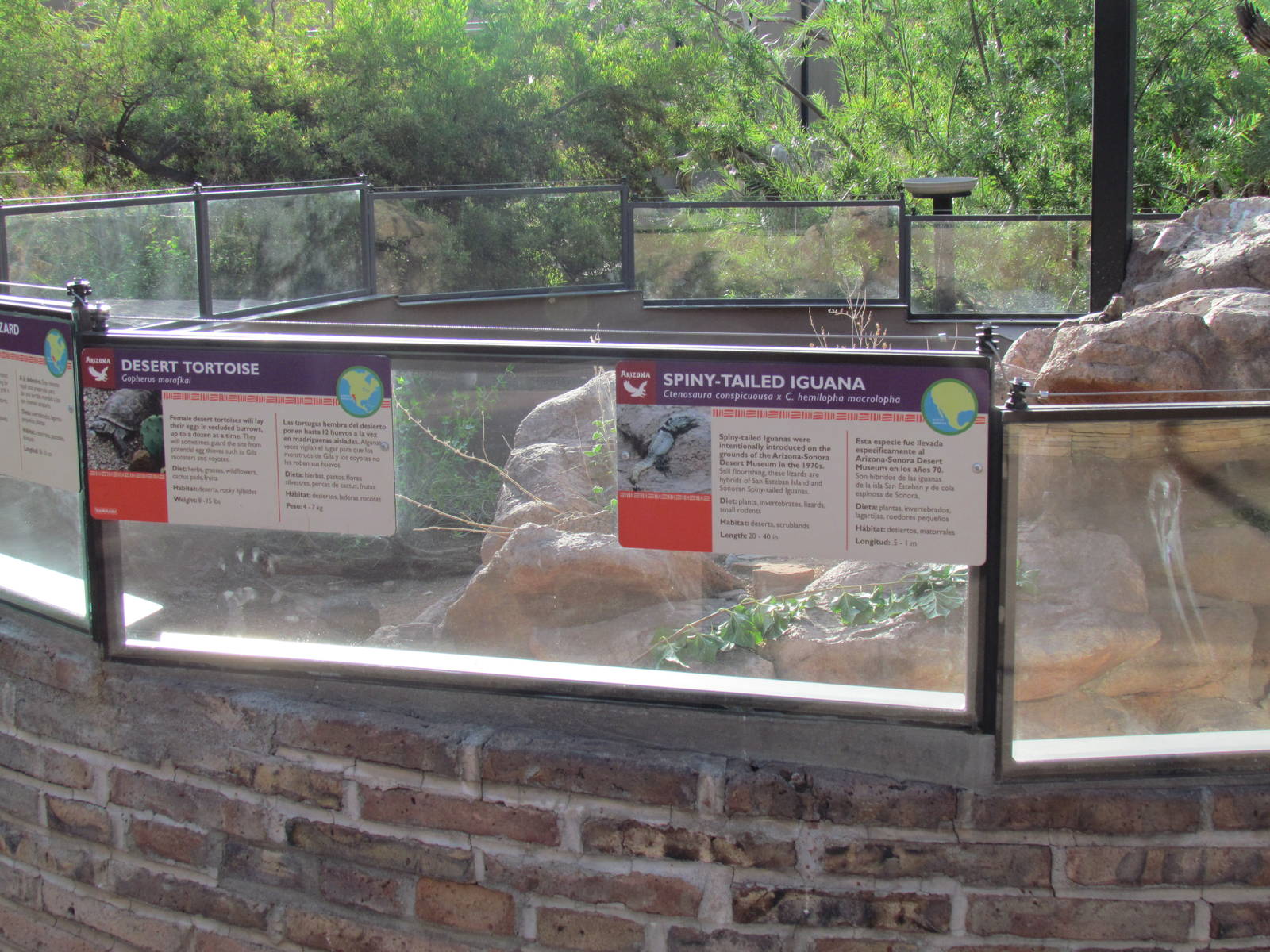 Arizona Trail - Reptile Exhibits