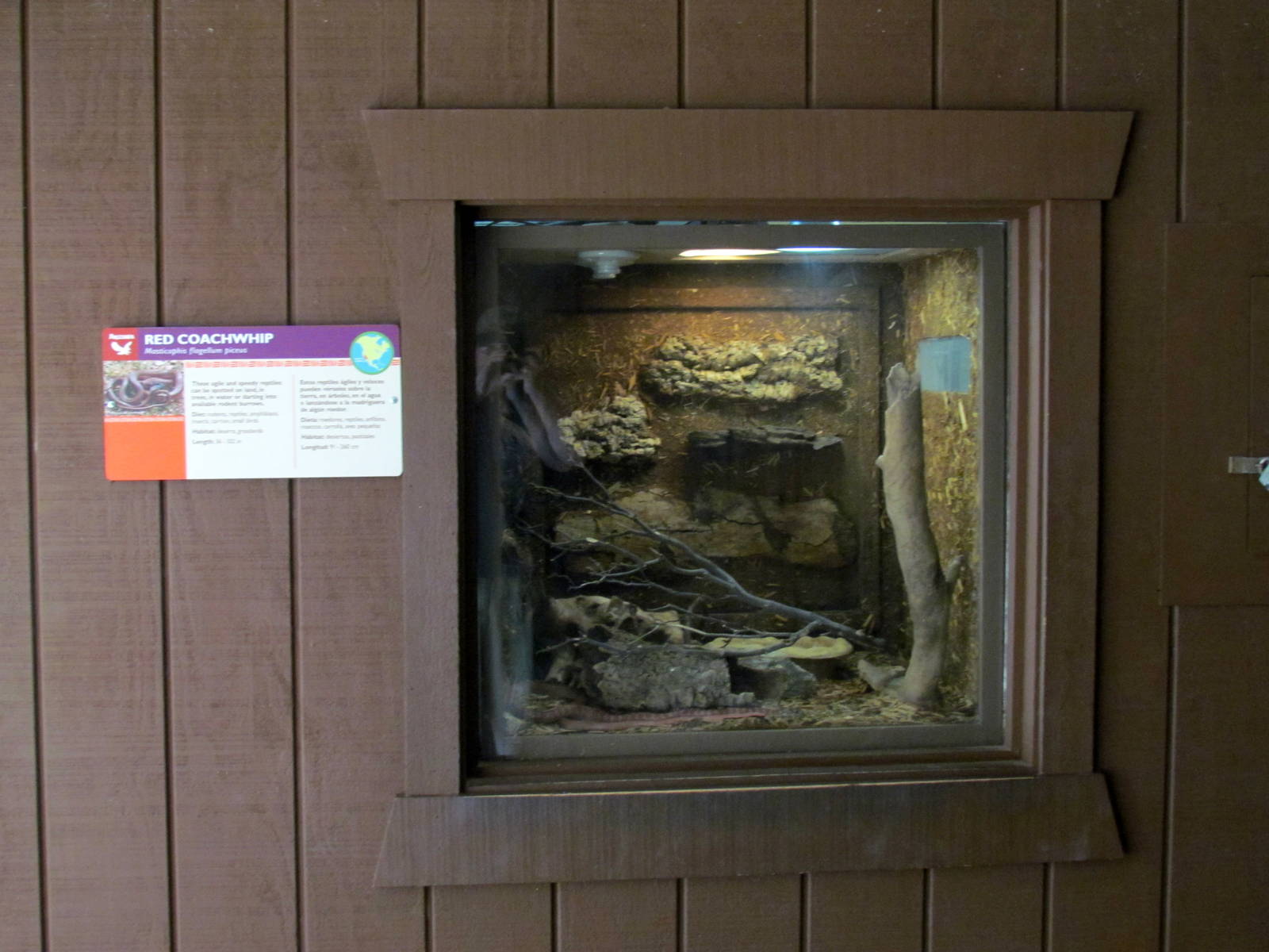 Arizona Trail - Reptile Exhibits