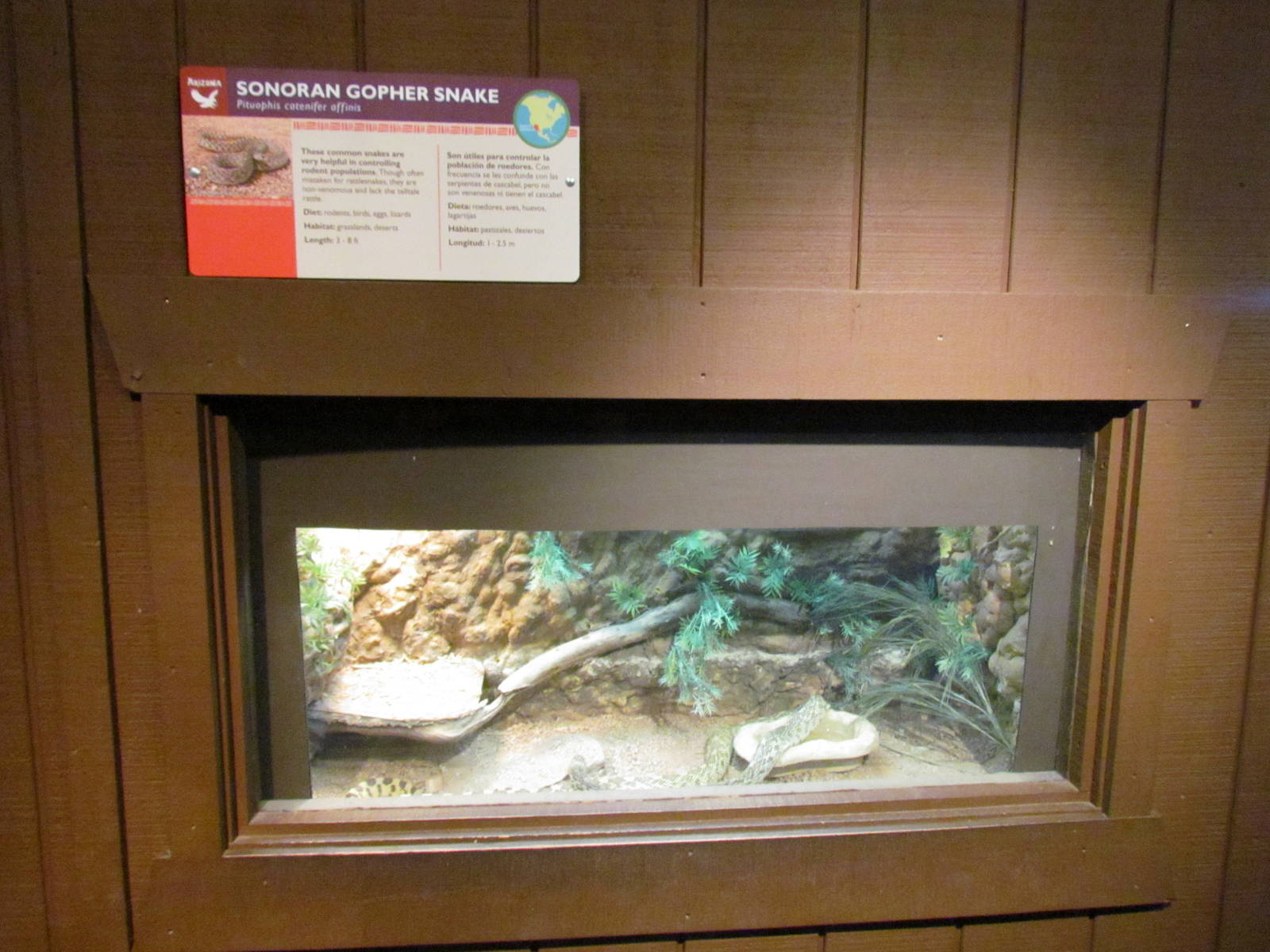 Arizona Trail - Reptile Exhibits