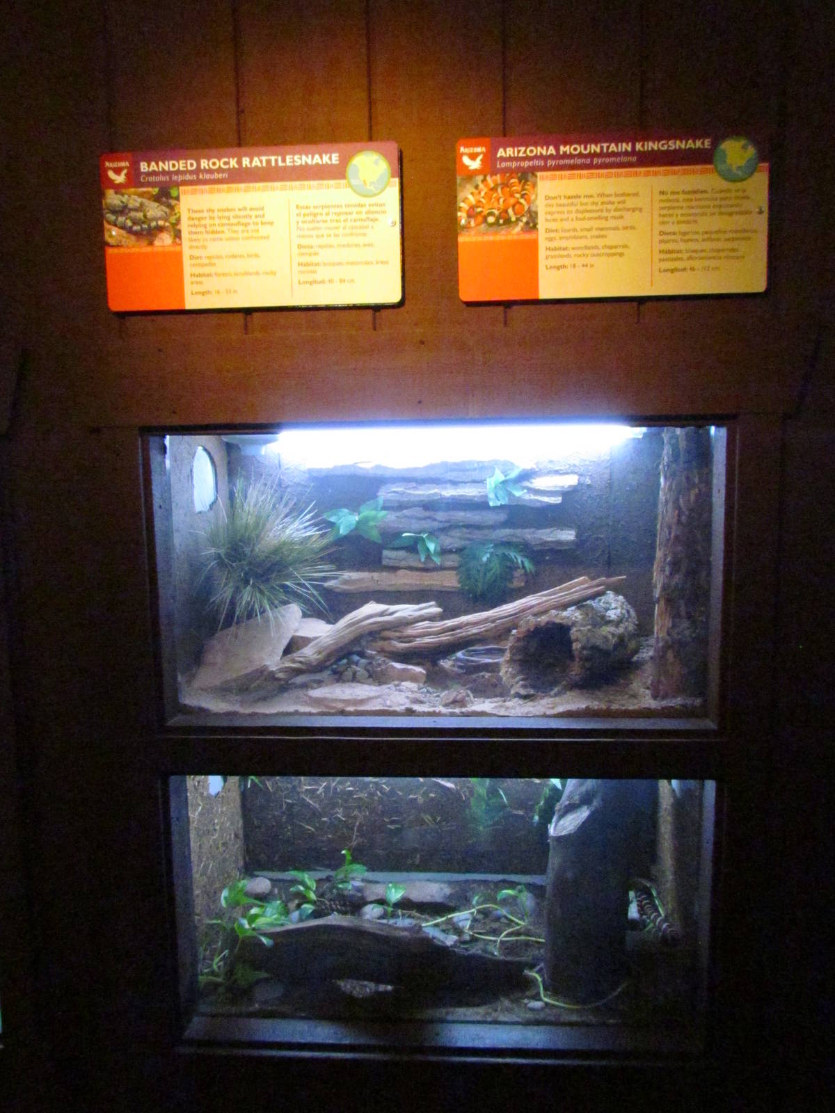 Arizona Trail - Reptile Exhibits