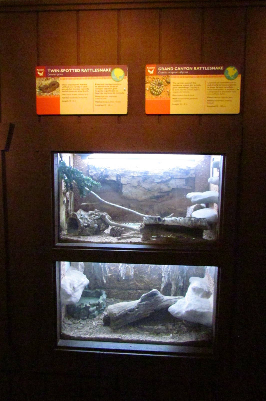 Arizona Trail - Reptile Exhibits