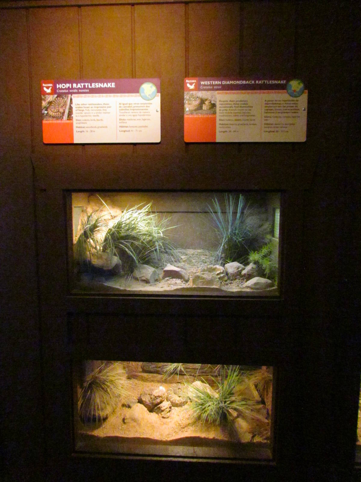 Arizona Trail - Reptile Exhibits