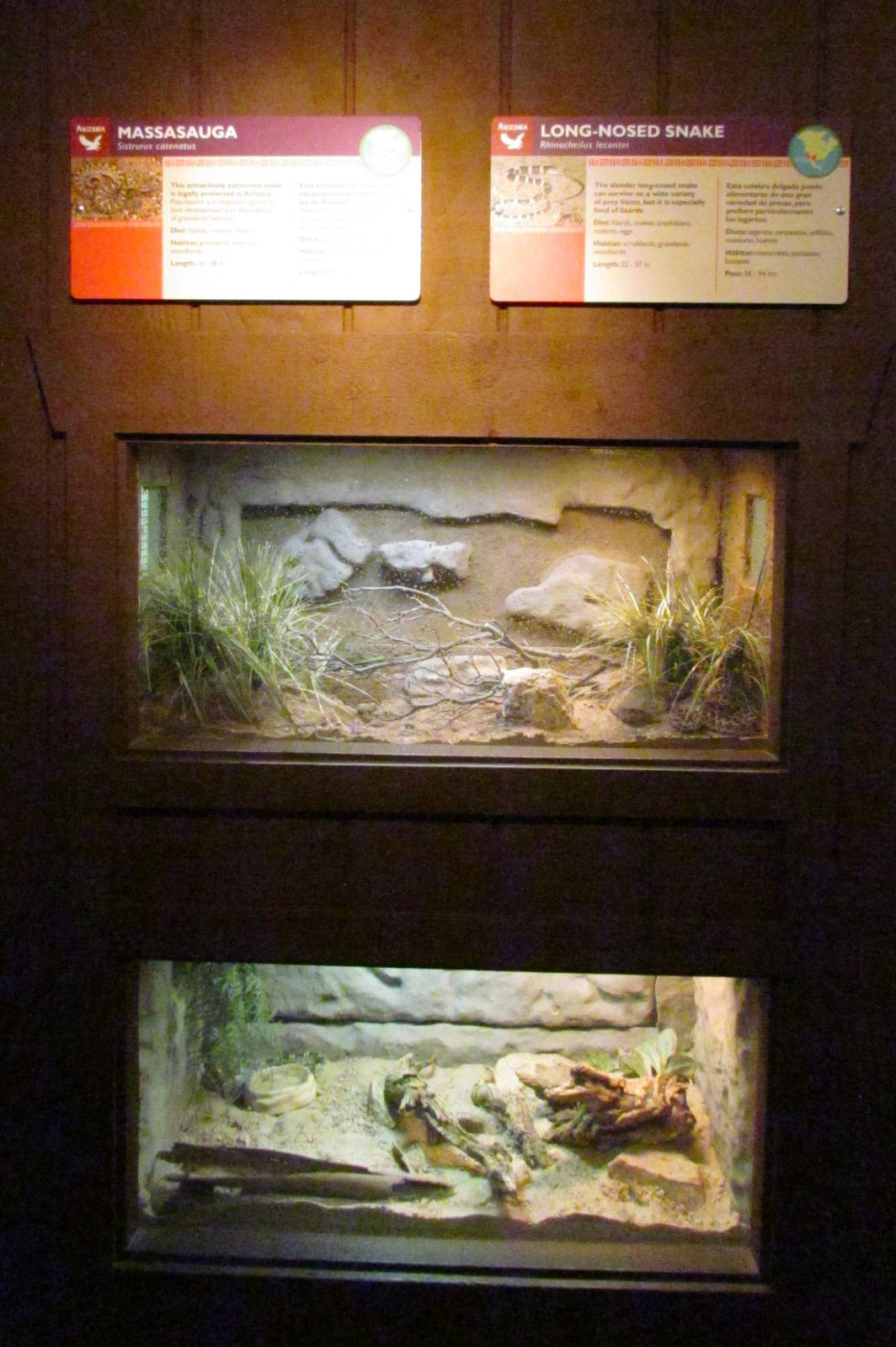 Arizona Trail - Reptile Exhibits