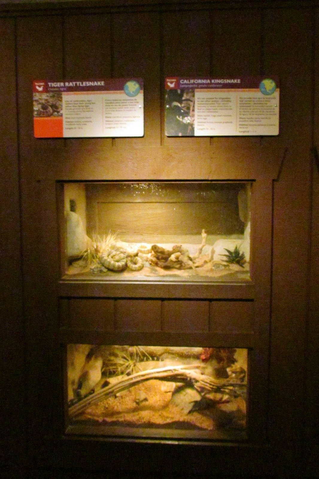 Arizona Trail - Reptile Exhibits