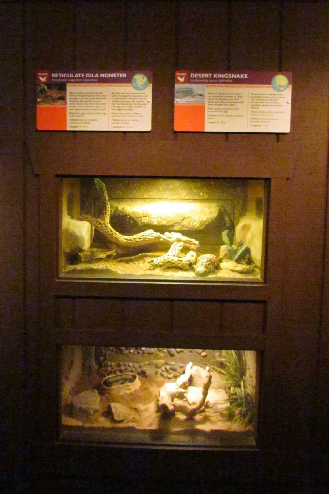 Arizona Trail - Reptile Exhibits
