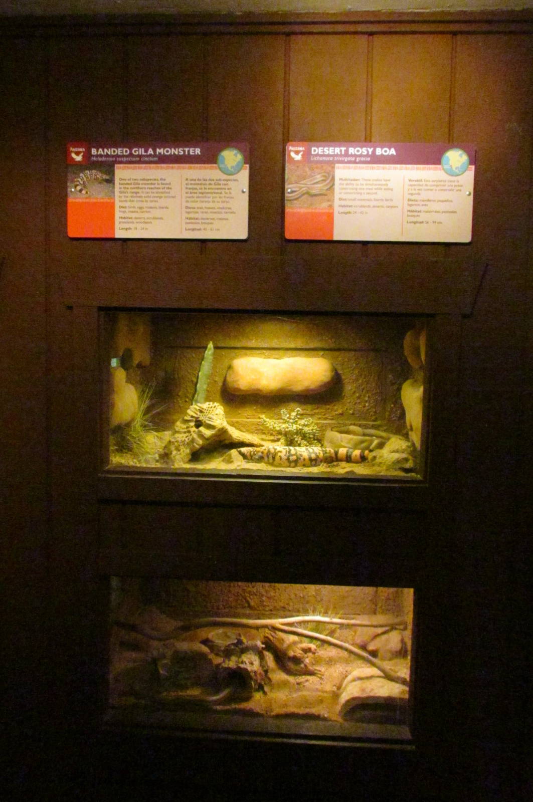 Arizona Trail - Reptile Exhibits