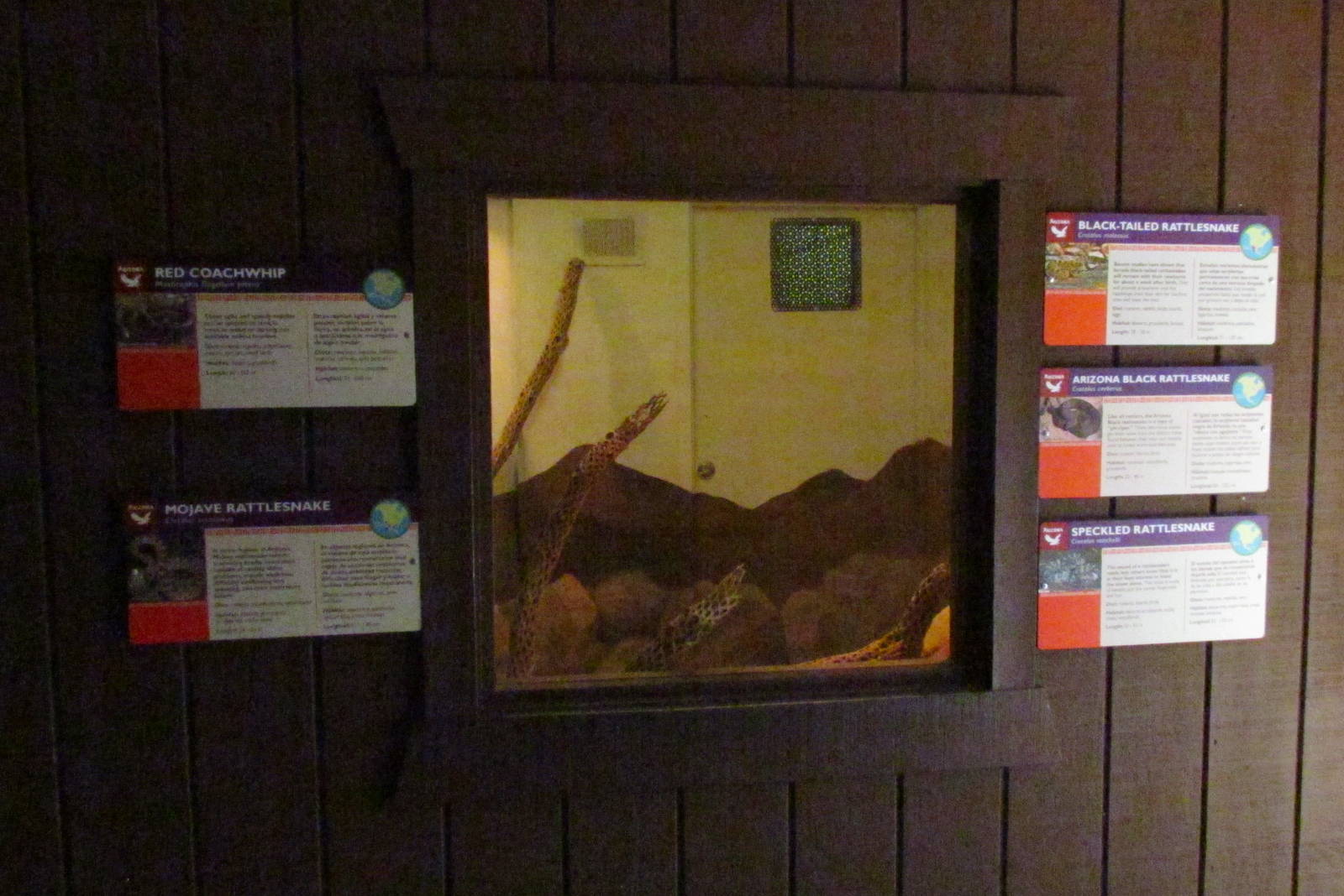 Arizona Trail - Reptile Exhibits