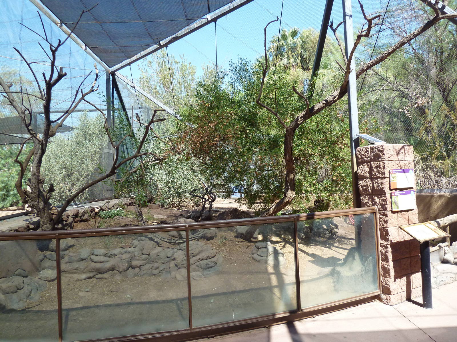 Arizona Trail - Roadrunner/Burrowing Owl Exhibit