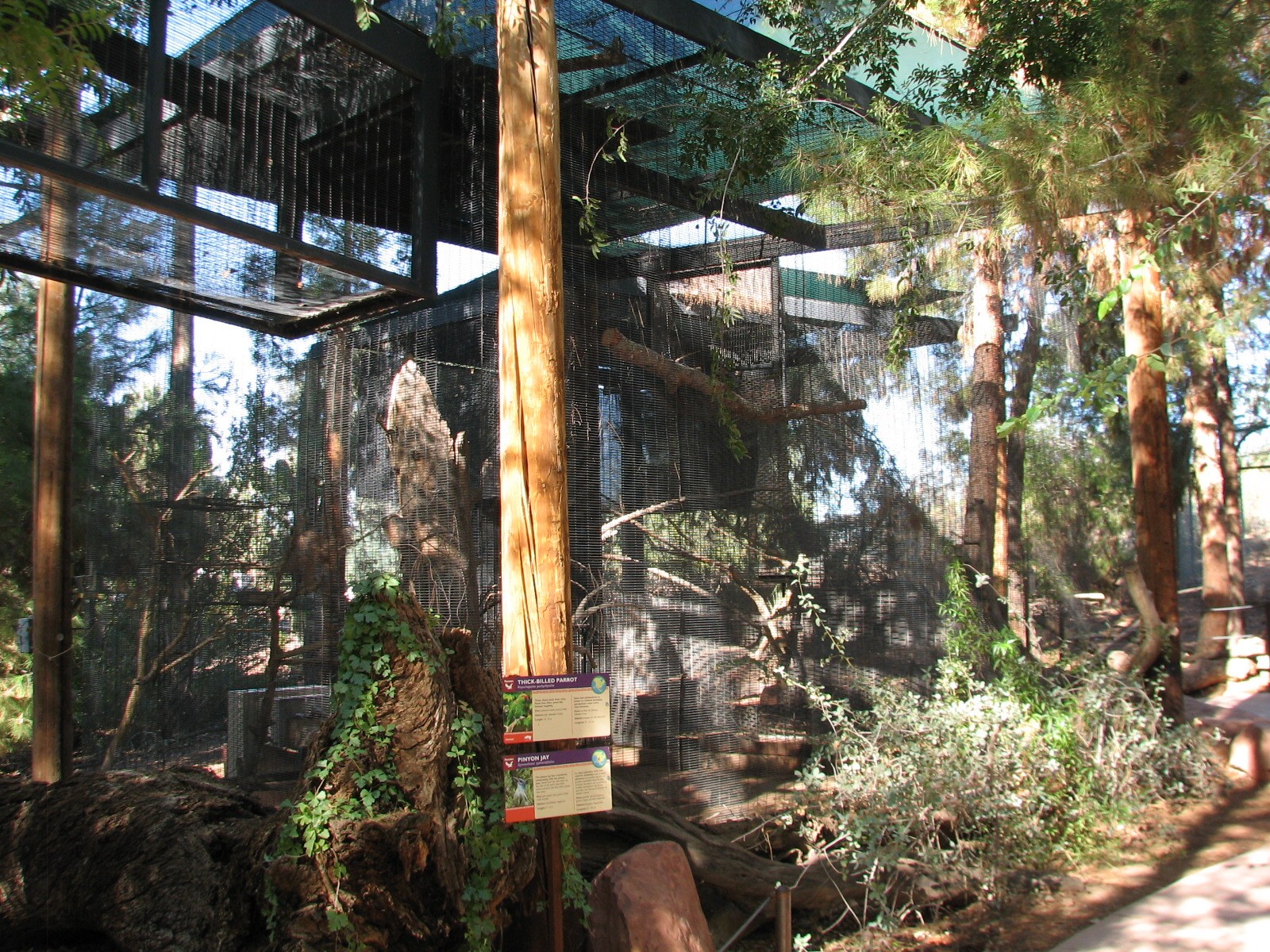 Arizona Trail - Thick-billed Parrot and Pinyon Jay Exhibit