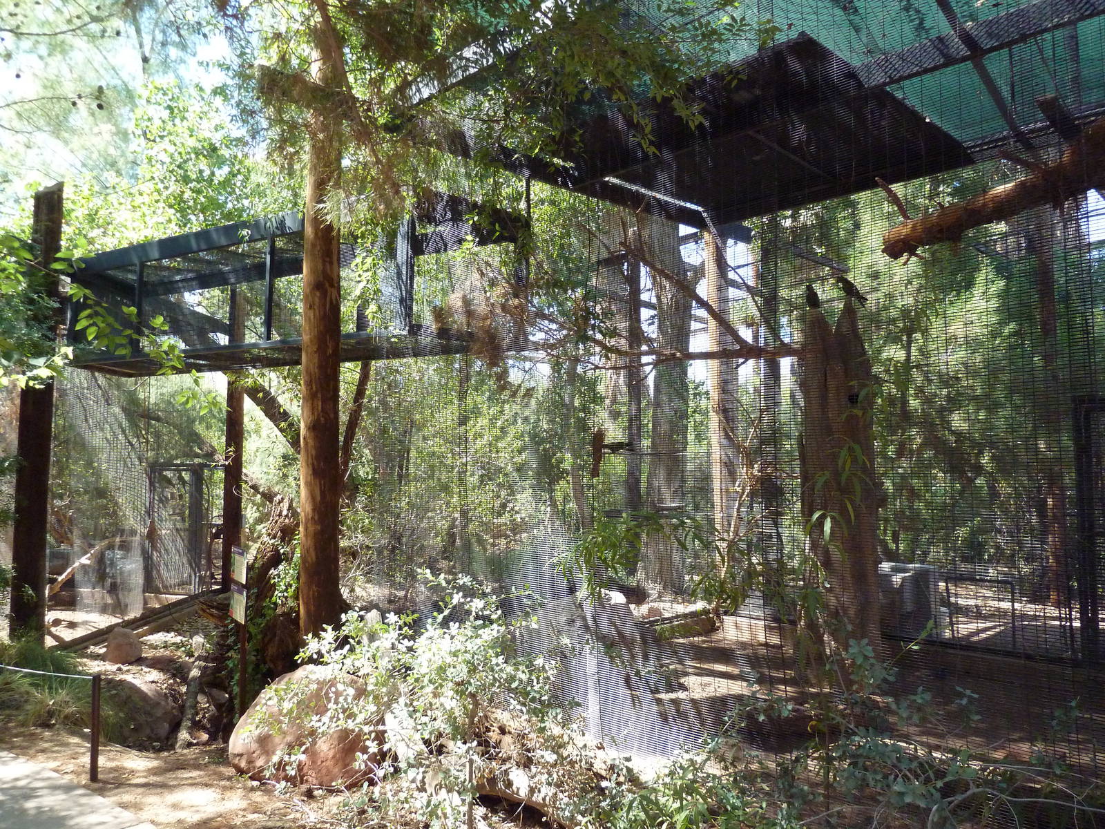 Arizona Trail - Thick-Billed Parrot/Pinyon Jay Exhibit