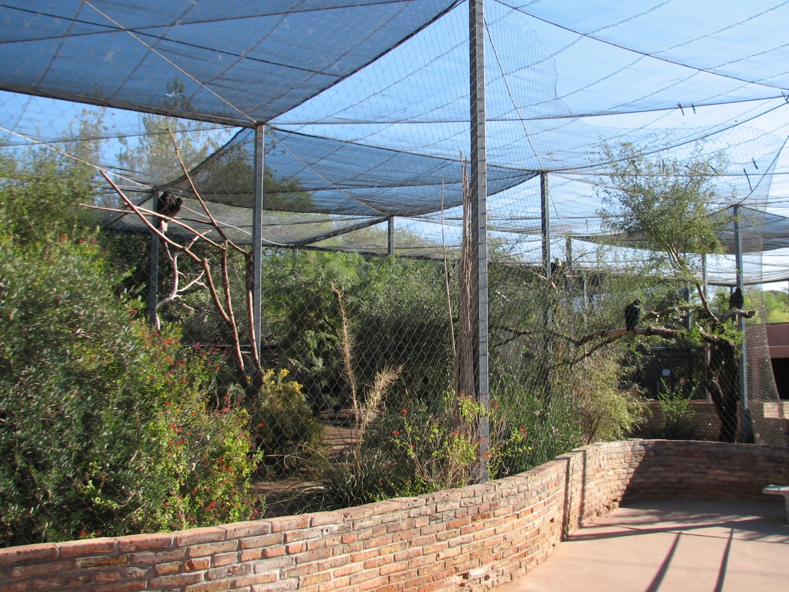Arizona Trail - Walk-through Aviary