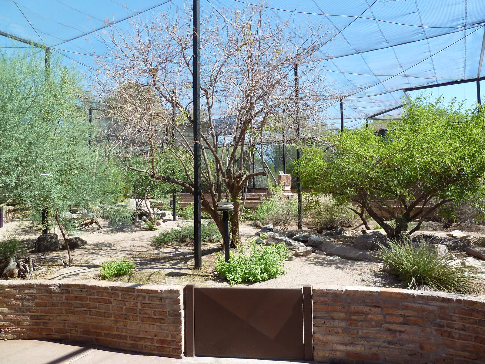 Arizona Trail - Walk-Through Aviary