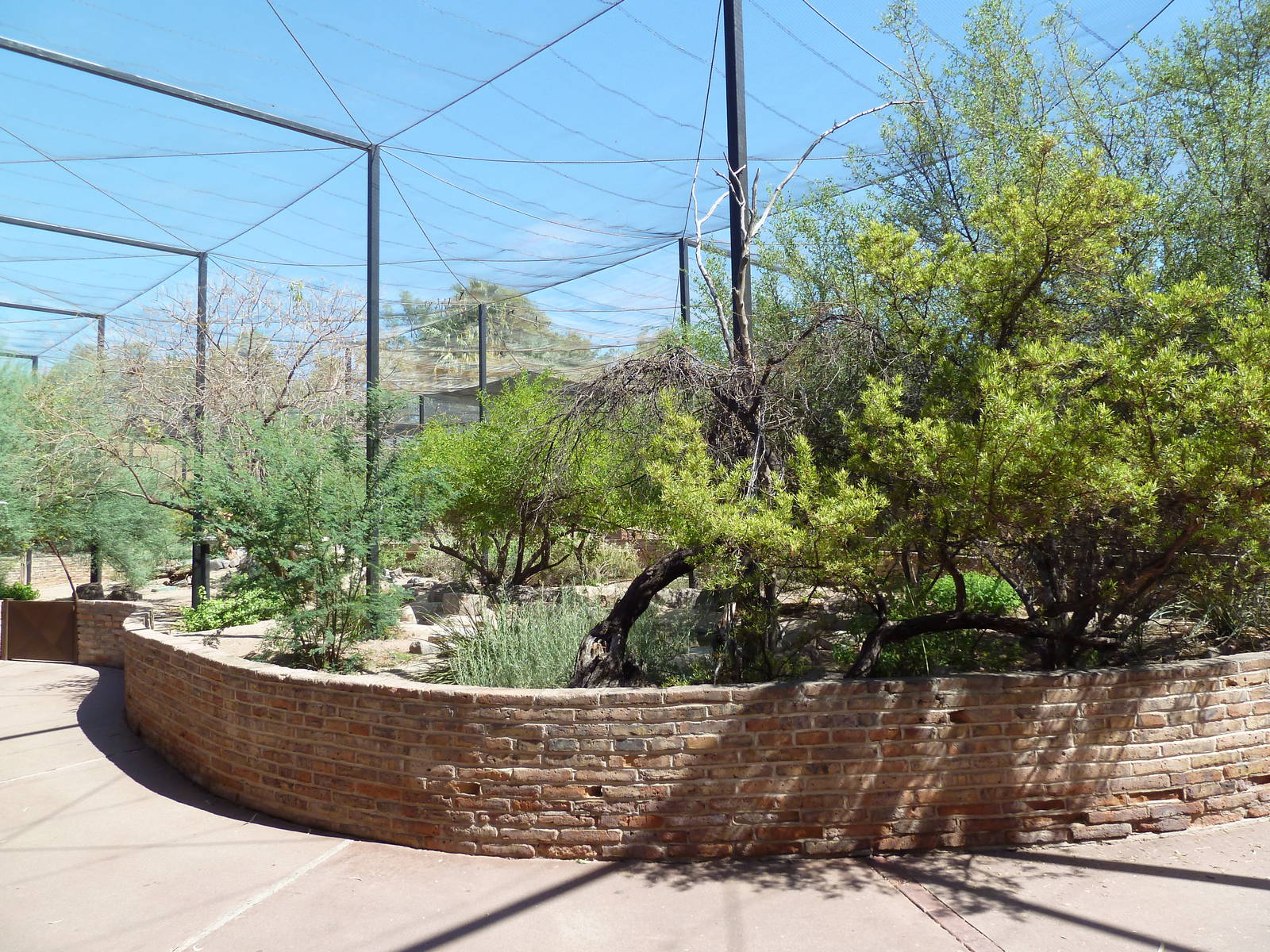 Arizona Trail - Walk-Through Aviary