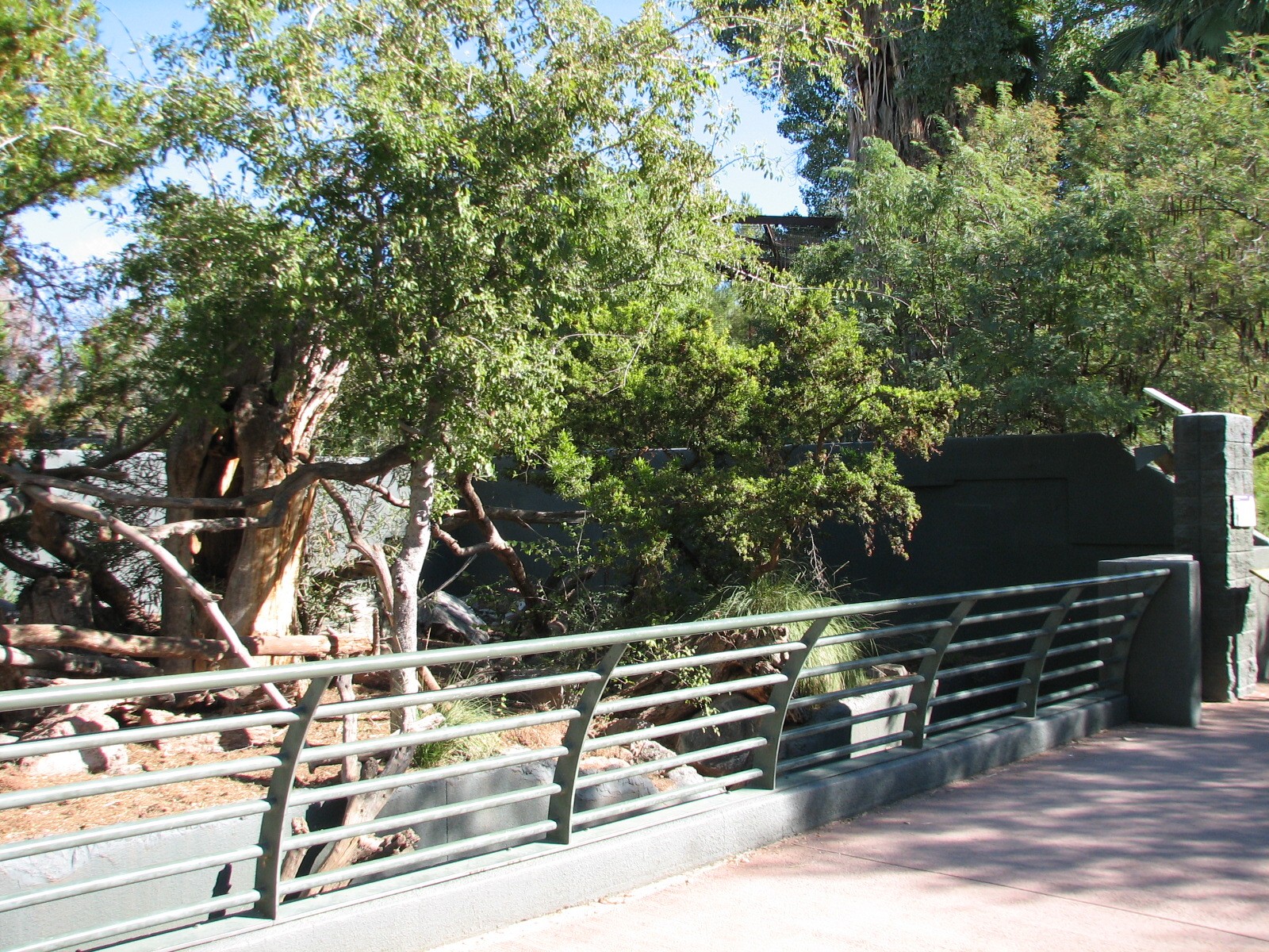 Arizona Trail - White-nosed Coati Exhibit