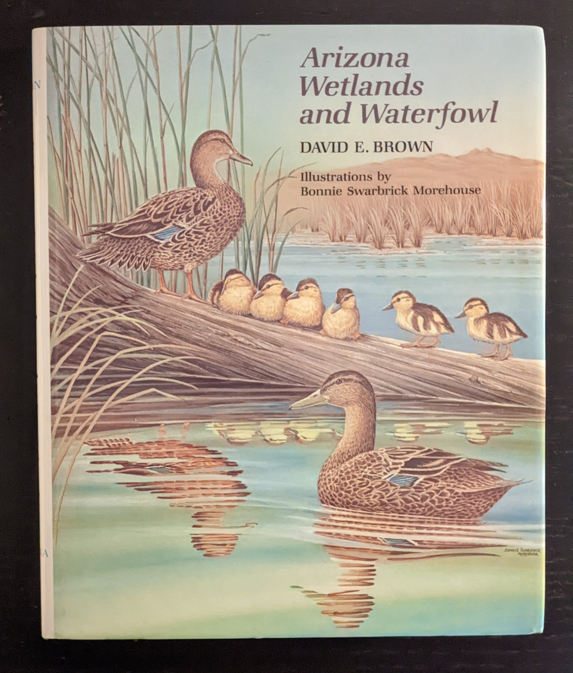 Arizona Wetlands and Waterfowl