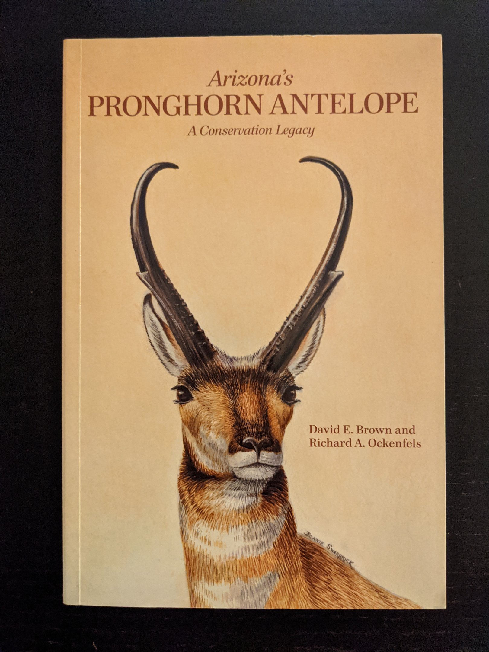 Arizona's Pronghorn Antelope; A Conservation Legacy