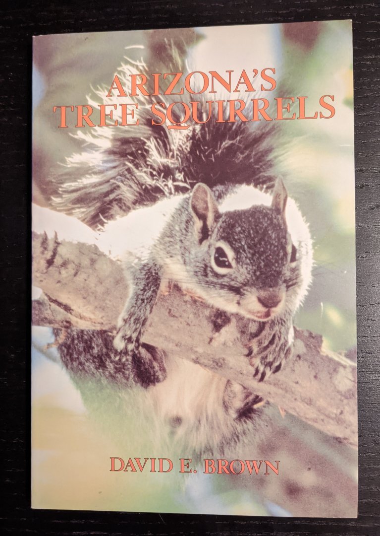 Arizona's Tree Squirrels