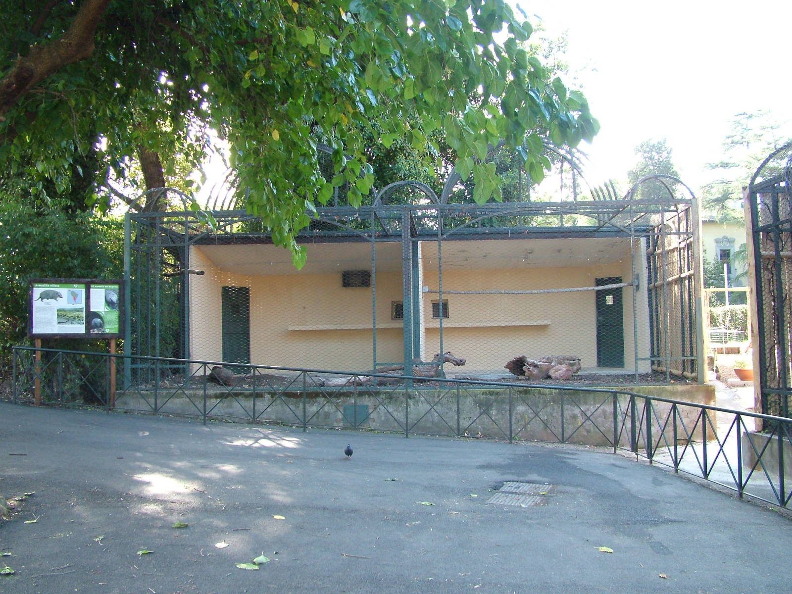 Armadillo enclosure at Bioparco Rome 15/10/09