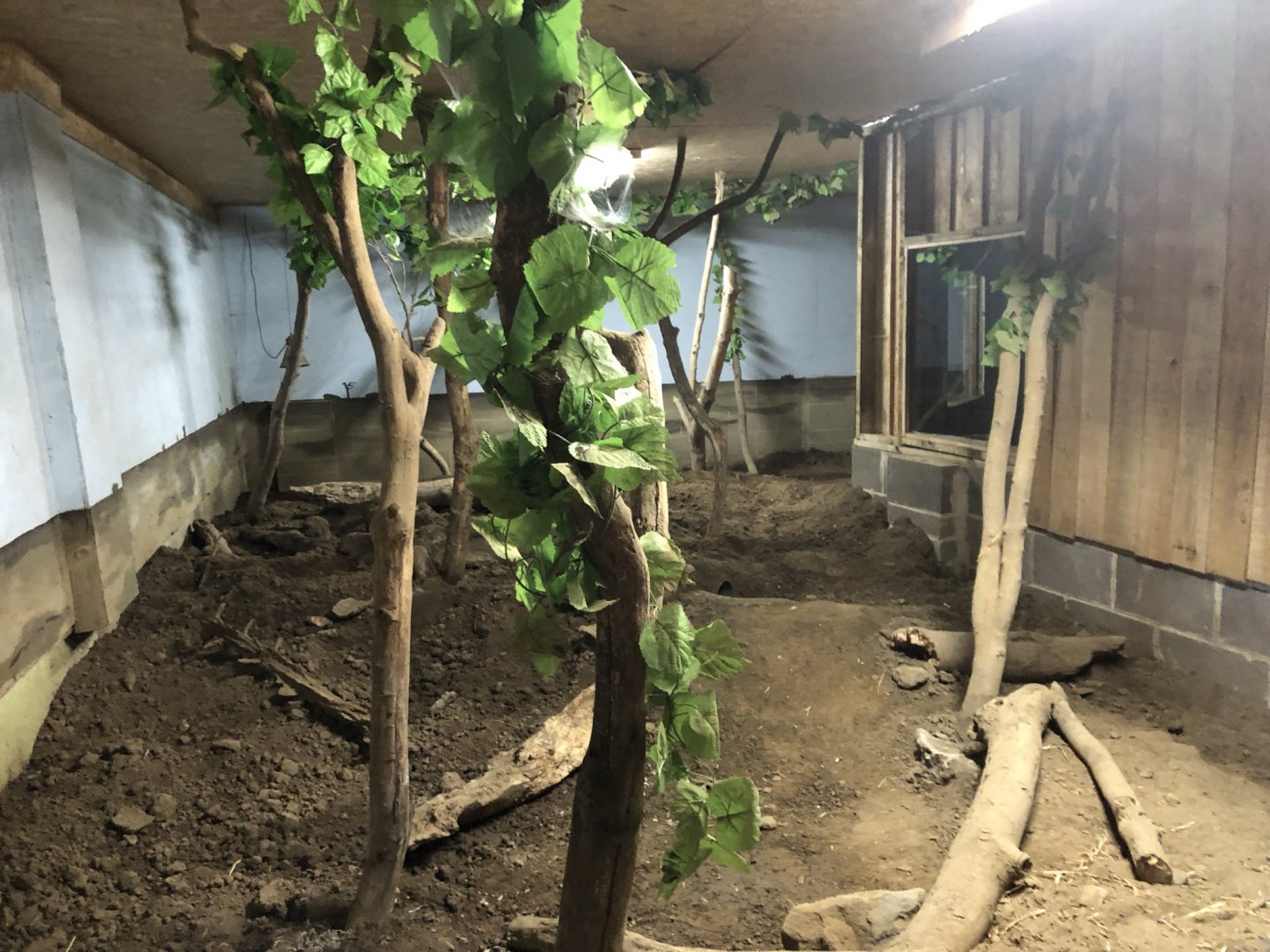 Armadillo Enclosure at Northumberland Country Zoo (September 2021)