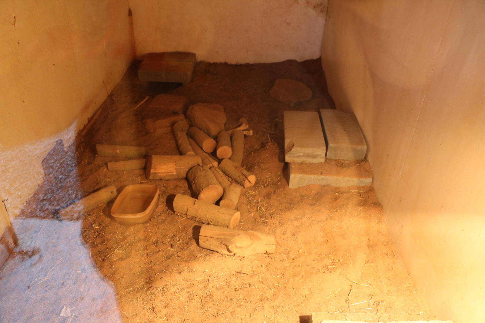 Armadillo enclosure, November 2015