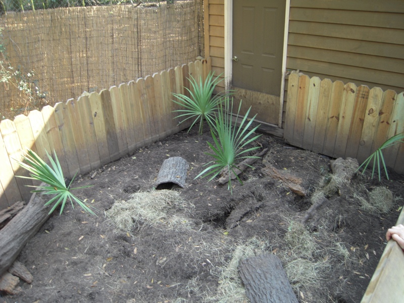 Armadillo Enclosure - Wolf Wilderness