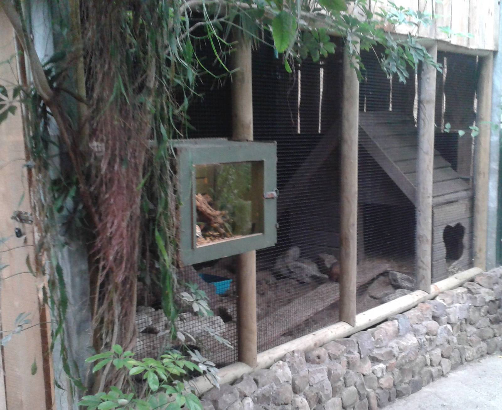 Armadillo enclosure