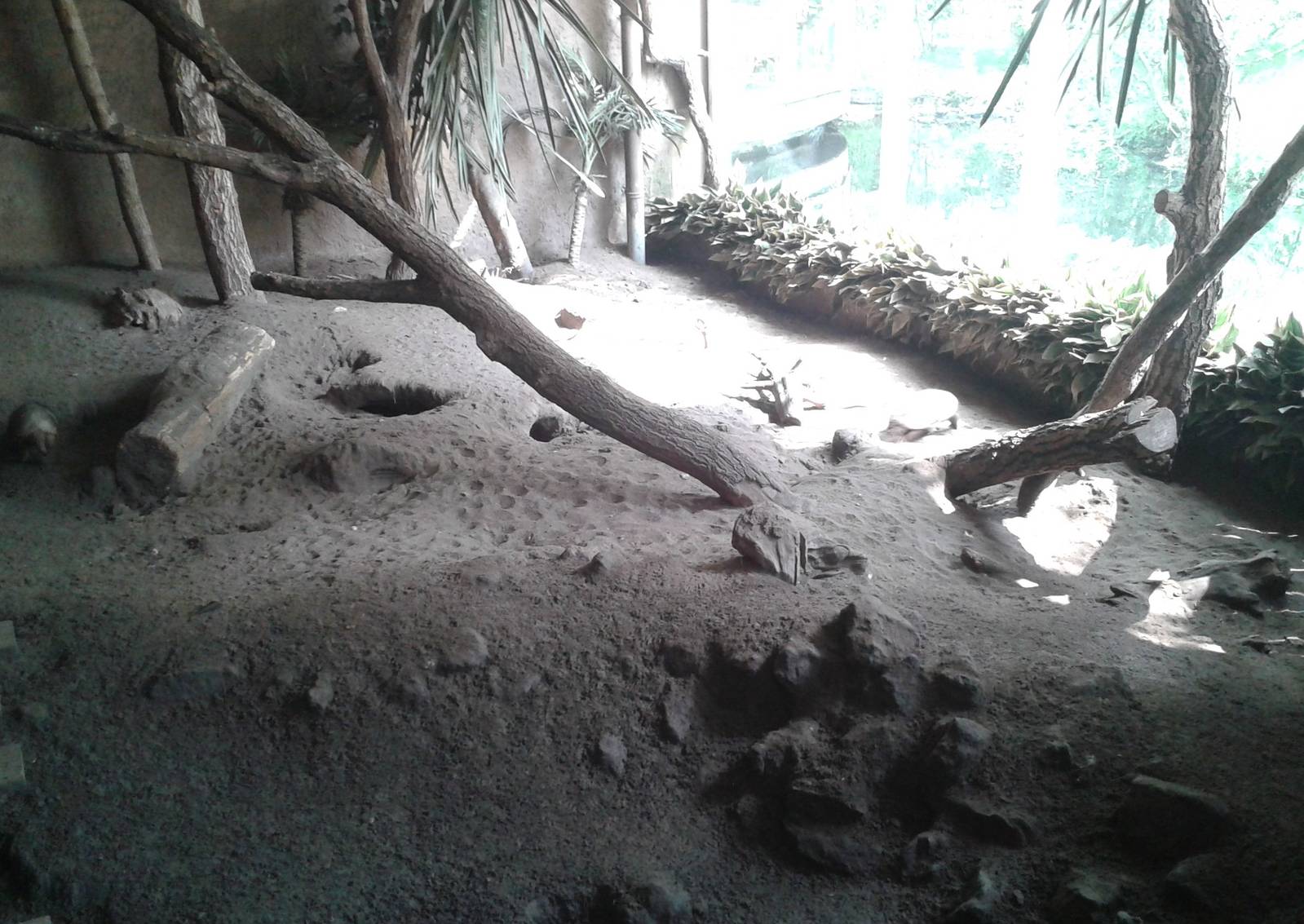 Armadillo enclosure