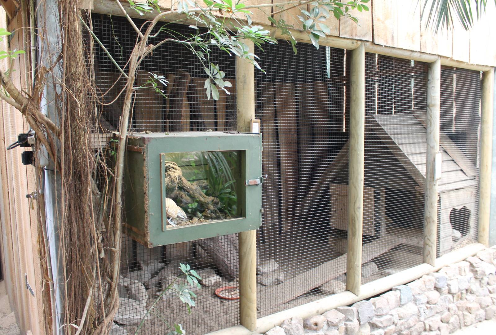 Armadillo enclosure