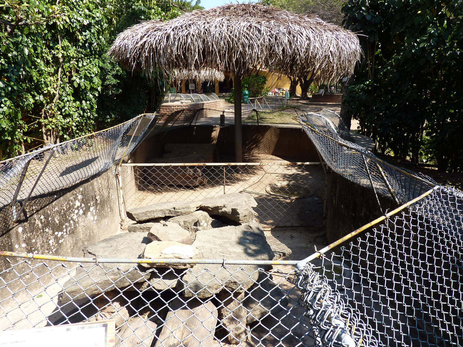 Armadillo enclosures