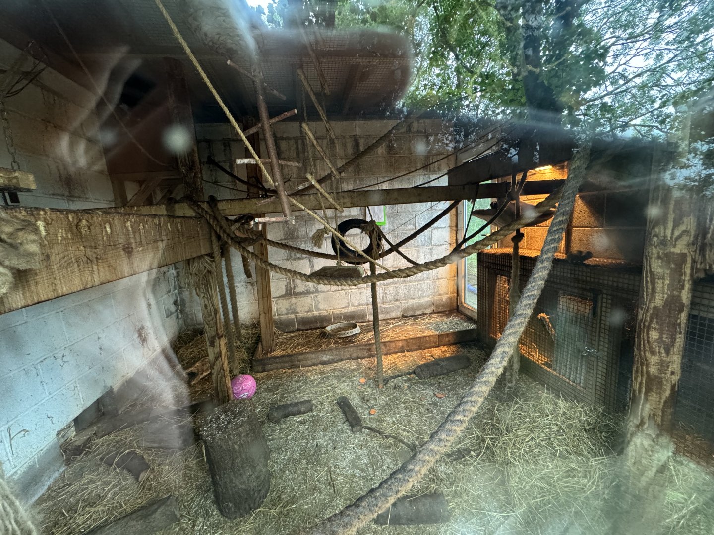 Armadillo / Marmoset Indoor Enclosure at Bridlington Animal Park (July 2024)