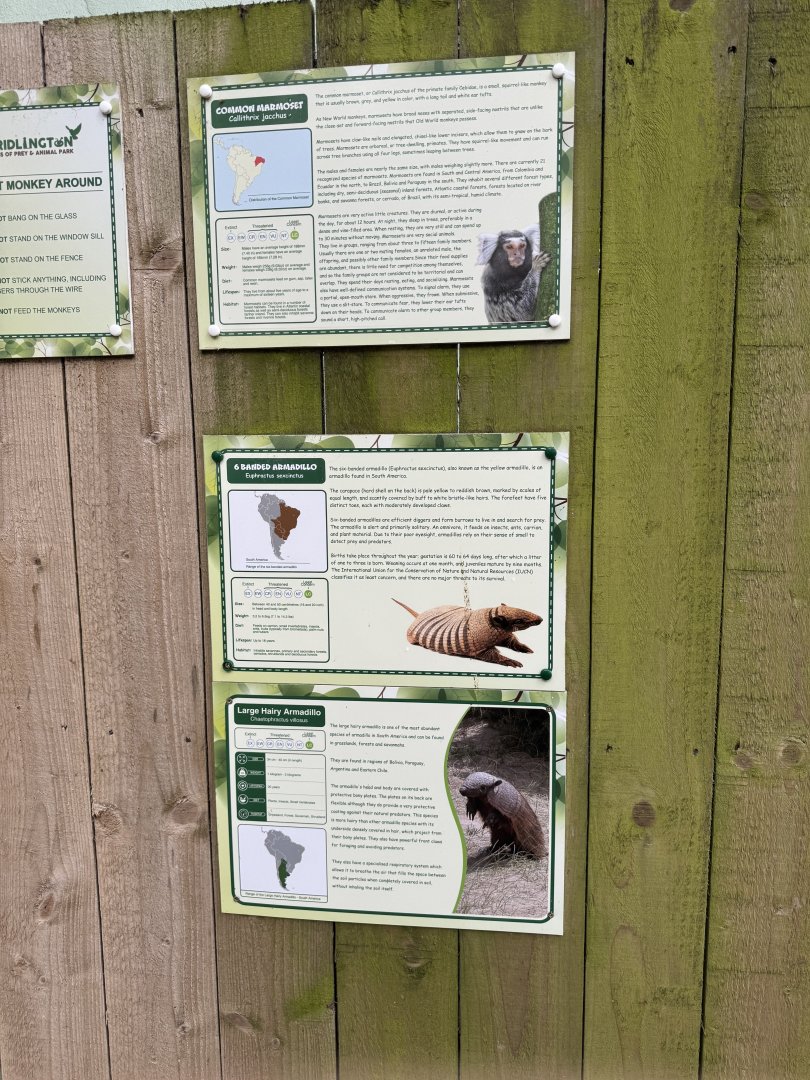 Armadillo / Marmoset Signage at Bridlington Animal Park (July 2024)