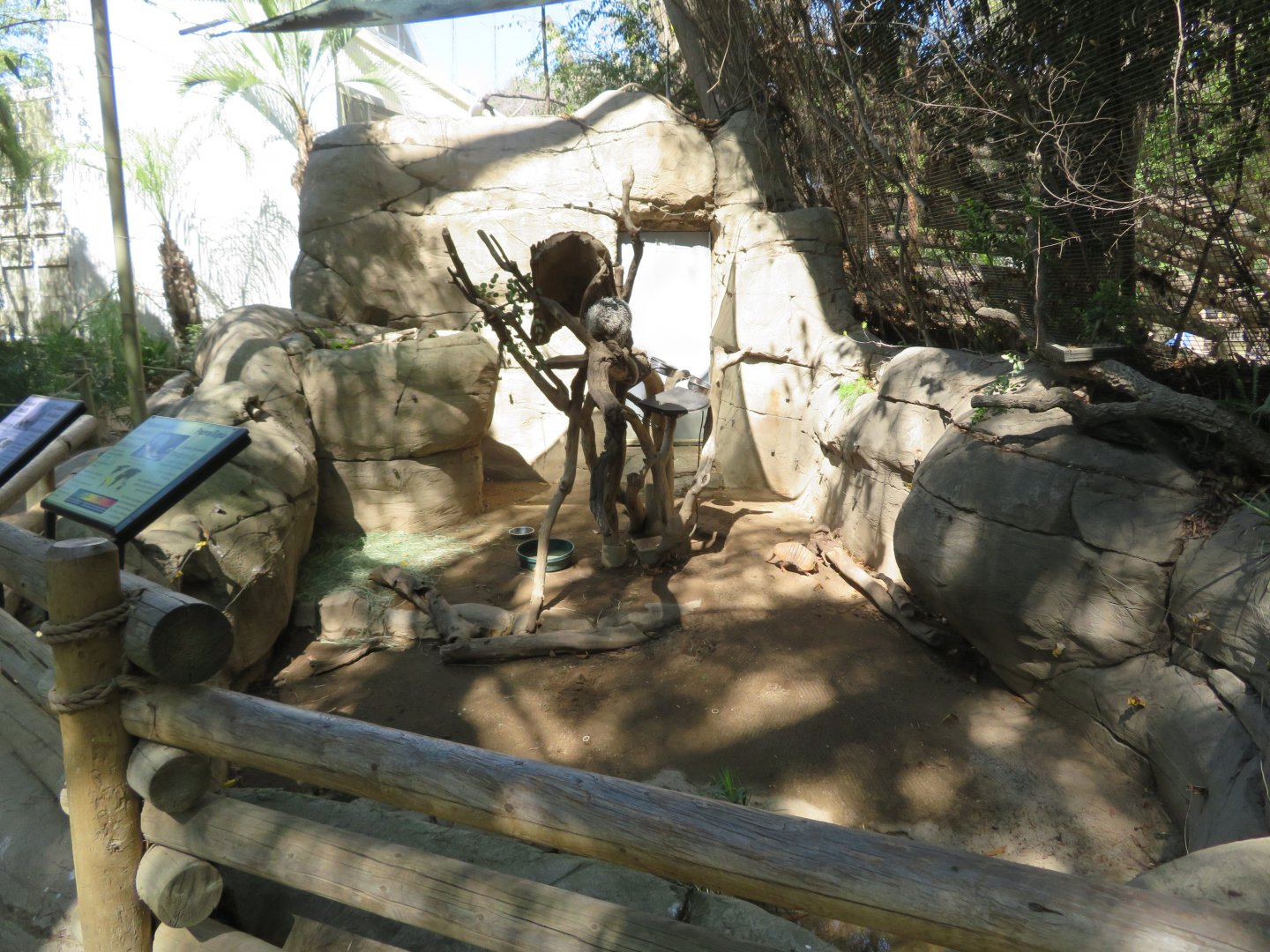 Armadillo/Porcupine Exhibit