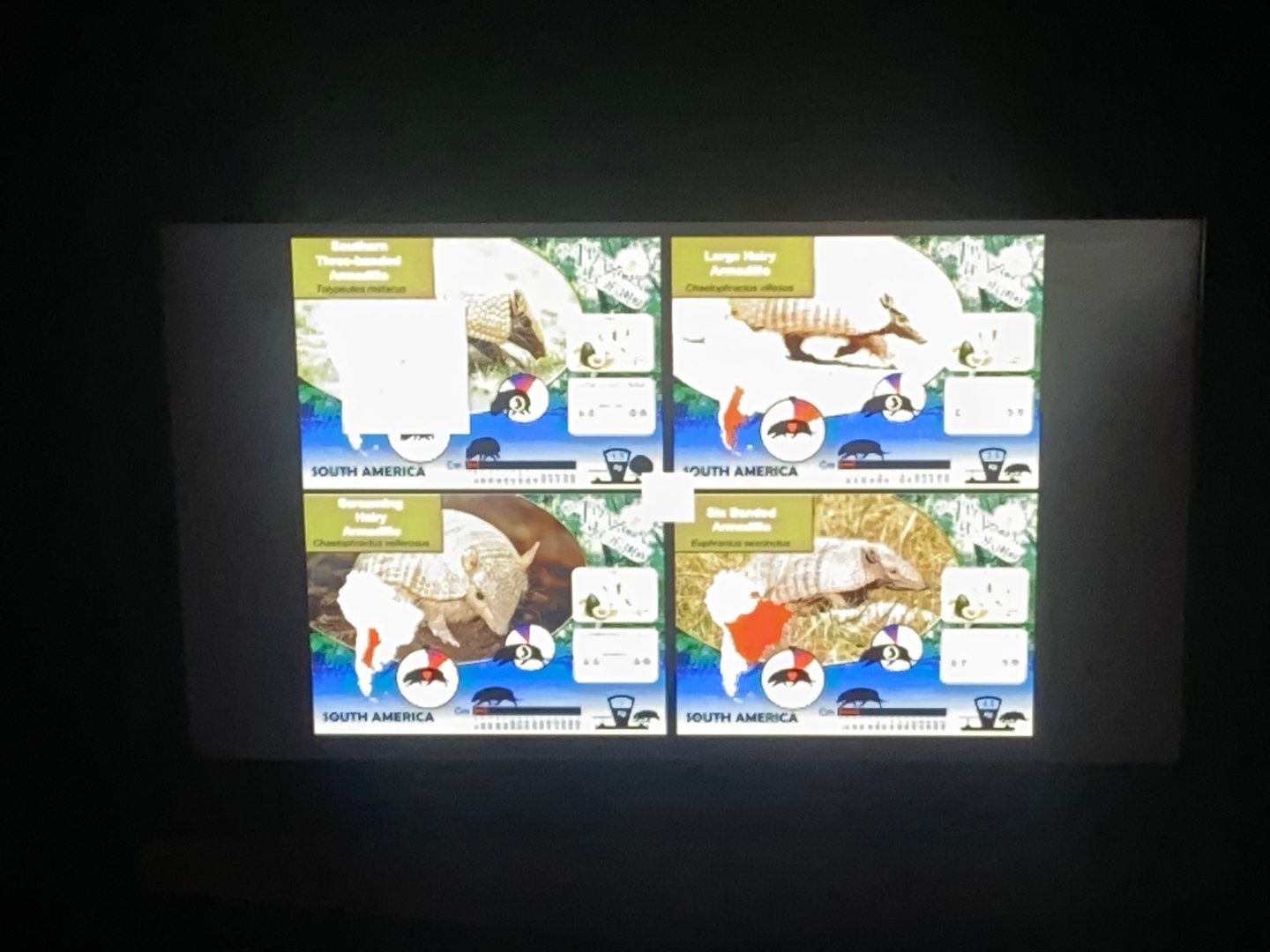 Armadillo signage 140923