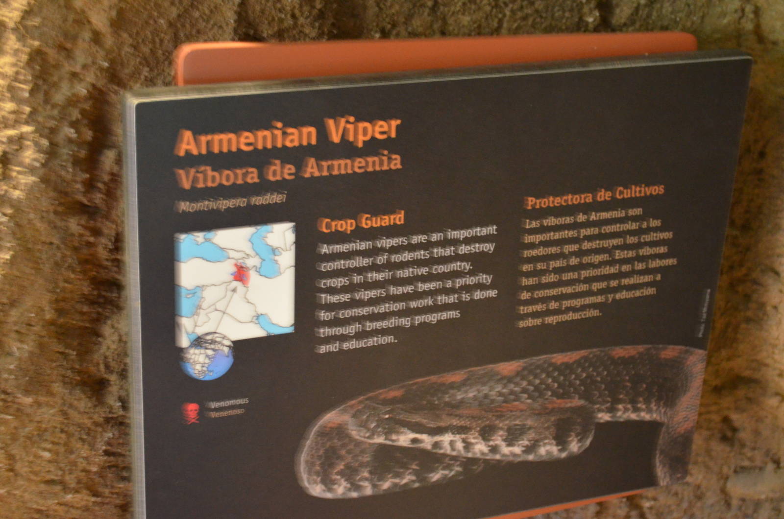 ARMENIAN VIPER SIGNAGE