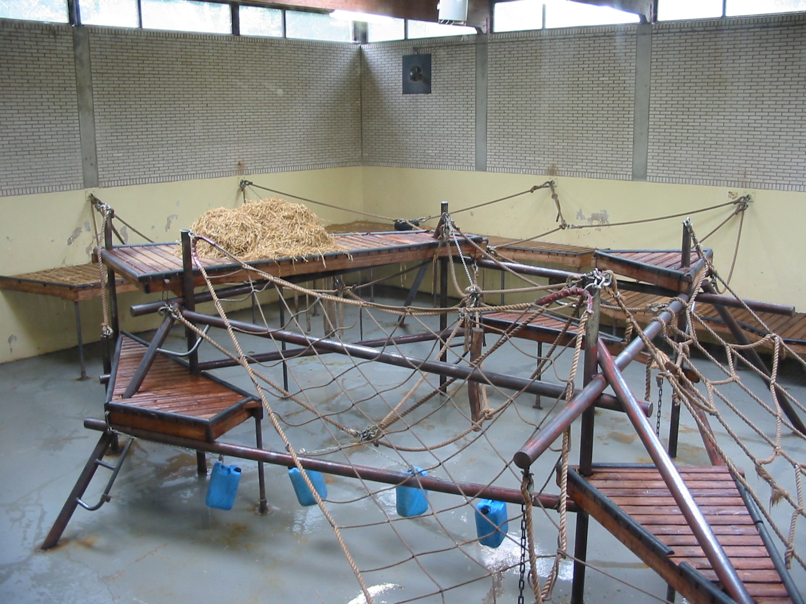 Arnhem Zoo 2004 - Indoor Chimpanzee exhibit