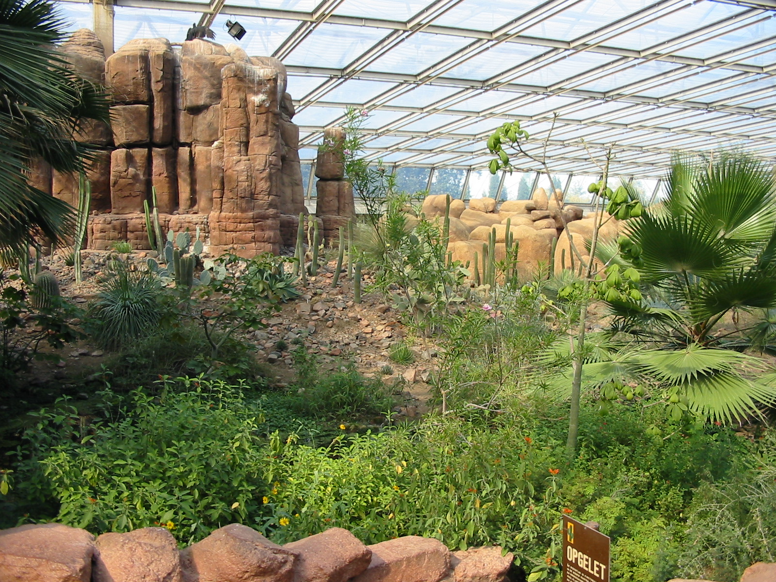 Arnhem Zoo 2004 - Inside the Desert building