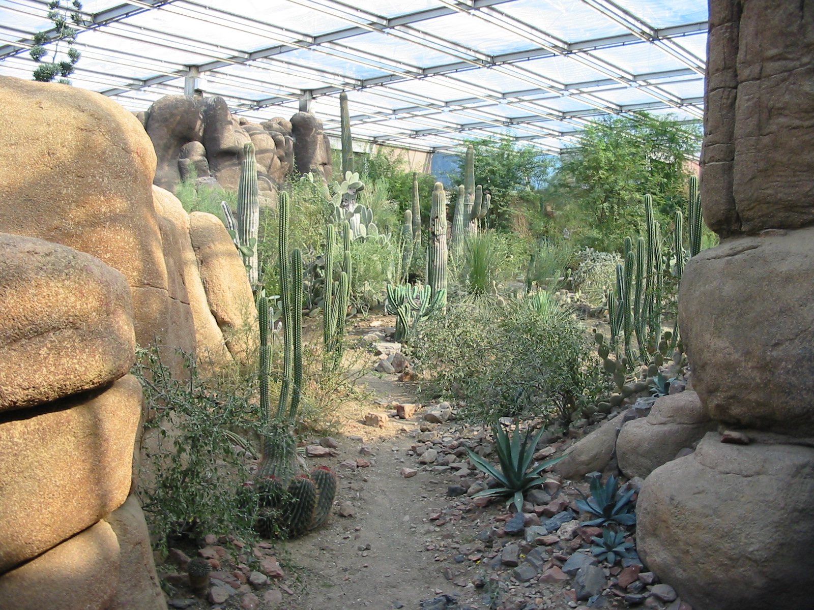 Arnhem Zoo 2004 - Inside the Desert building