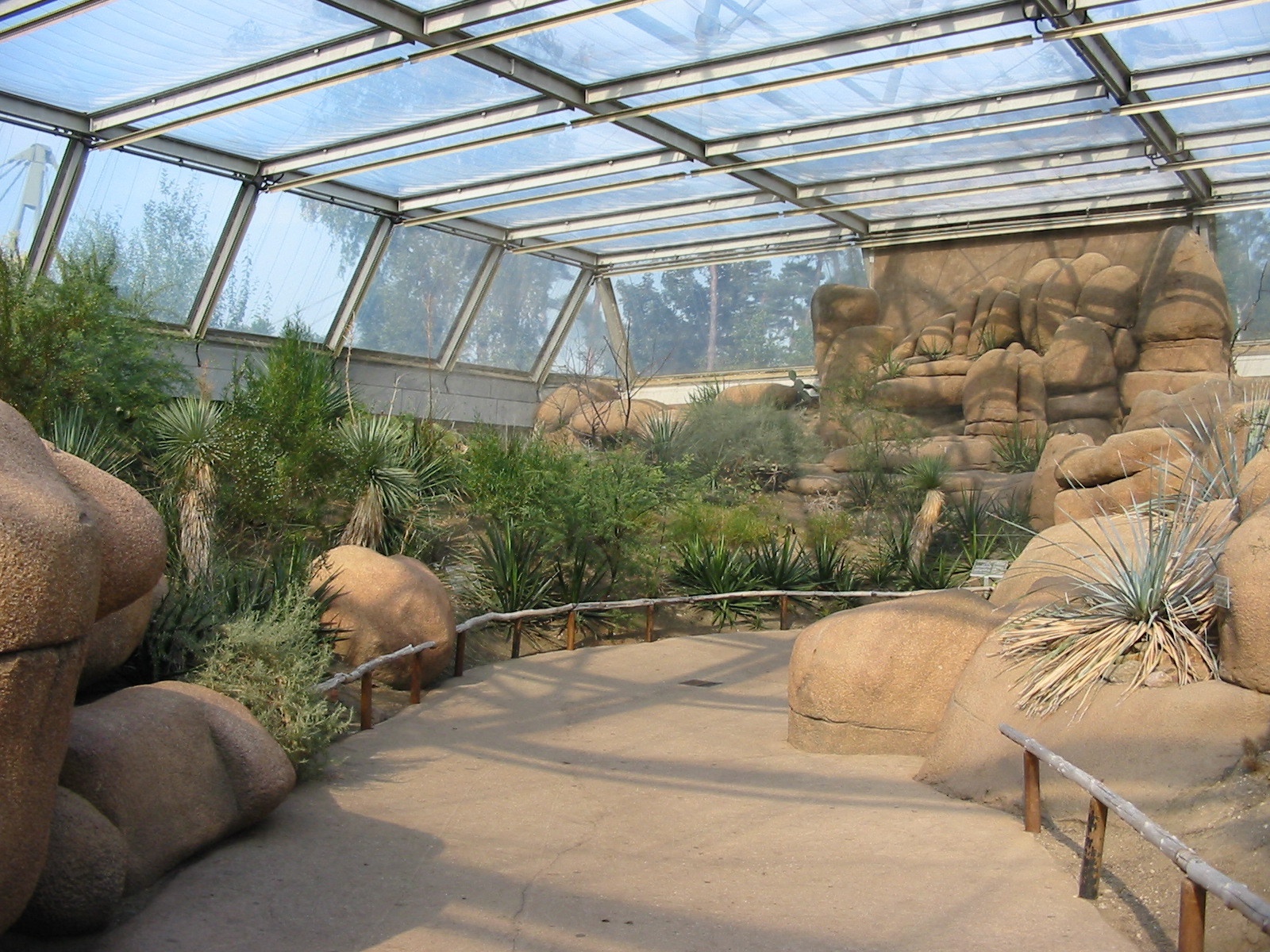 Arnhem Zoo 2004 - Inside the Desert building