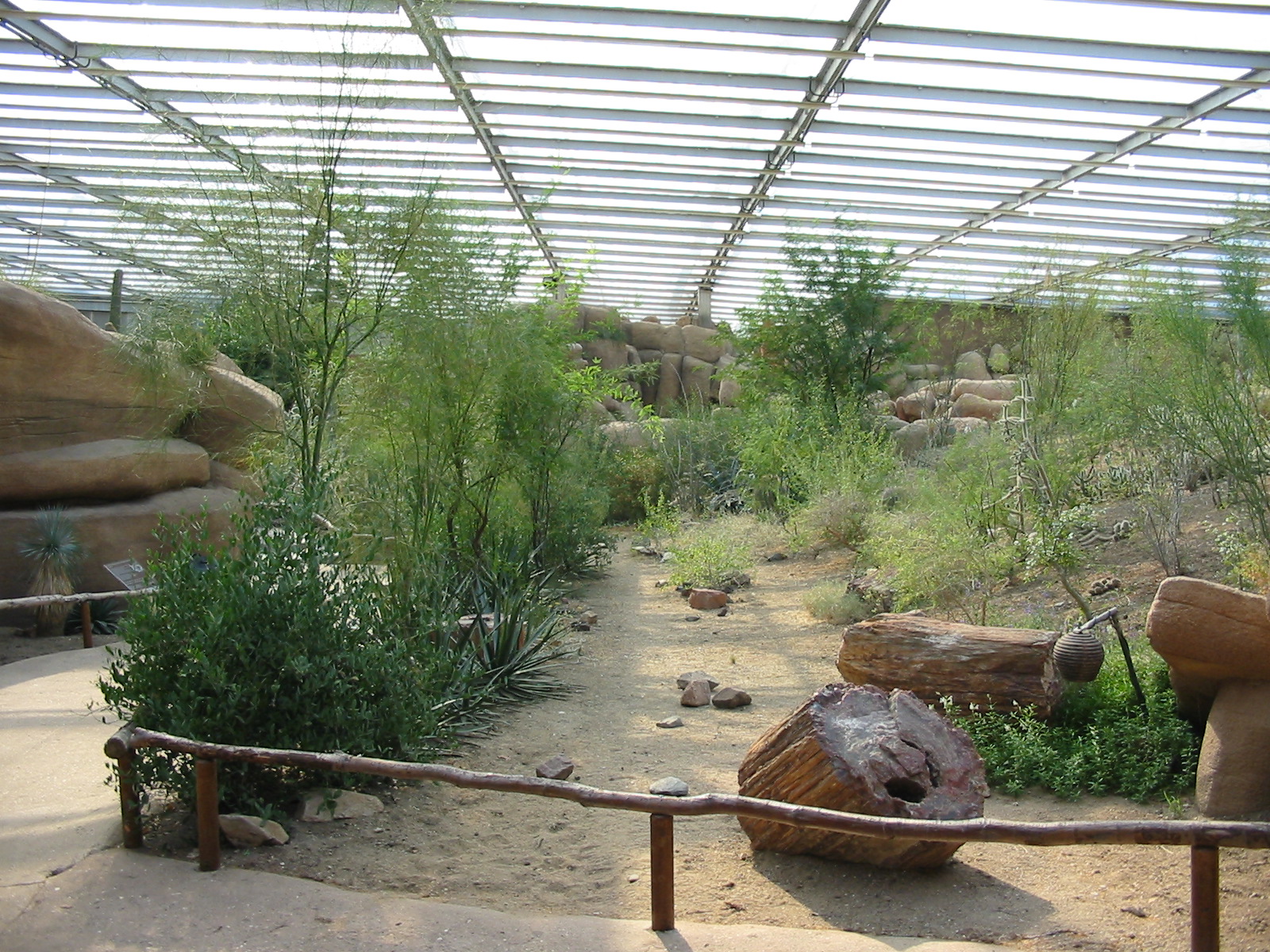 Arnhem Zoo 2004 - Inside the Desert building