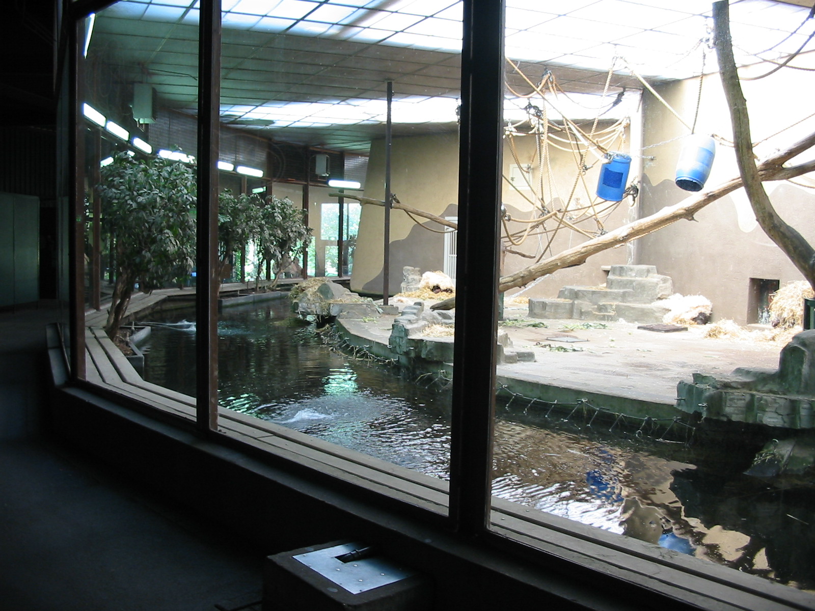 Arnhem Zoo 2004 - Old Orangutan house