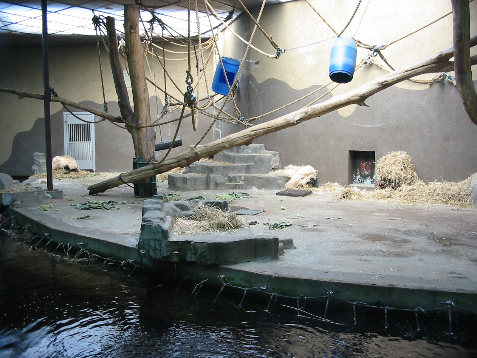 Arnhem Zoo 2004 - Old Orangutan house