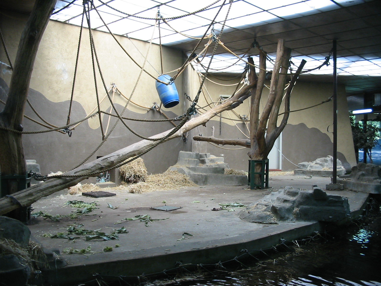 Arnhem Zoo 2004 - Old Orangutan house