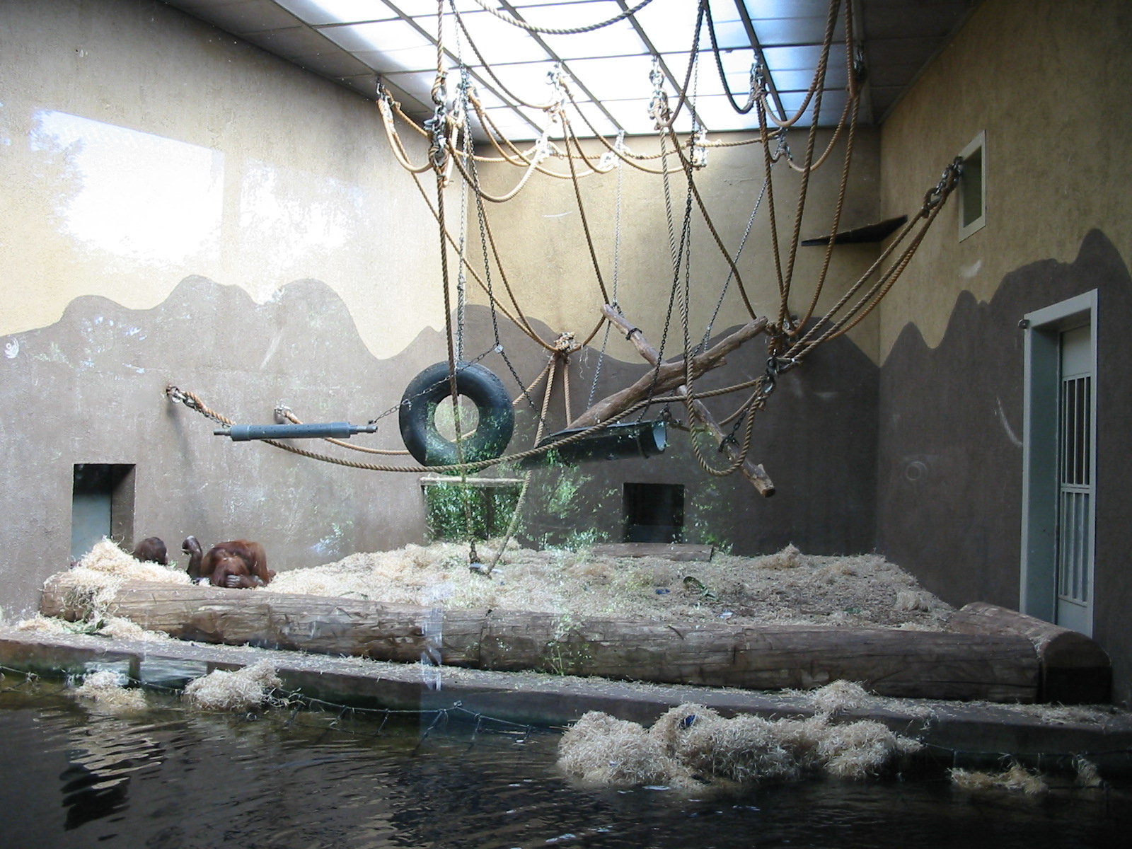 Arnhem Zoo 2004 - Old Orangutan house