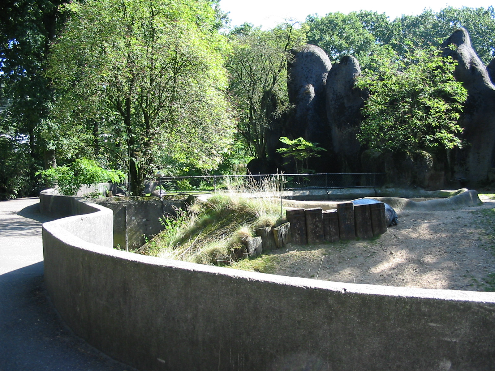Arnhem Zoo 2004 - Pigmy Hippopotamus exhibit