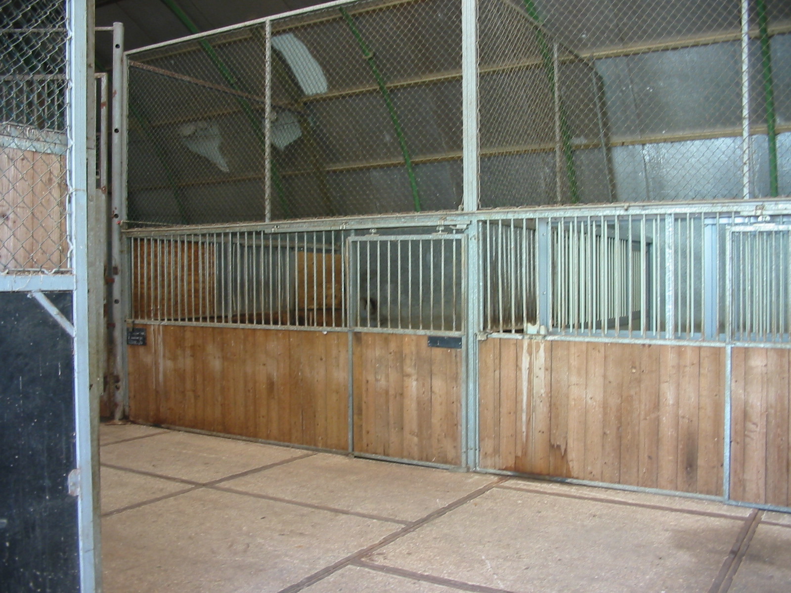 Arnhem Zoo 2004 - Stables in the Safari area