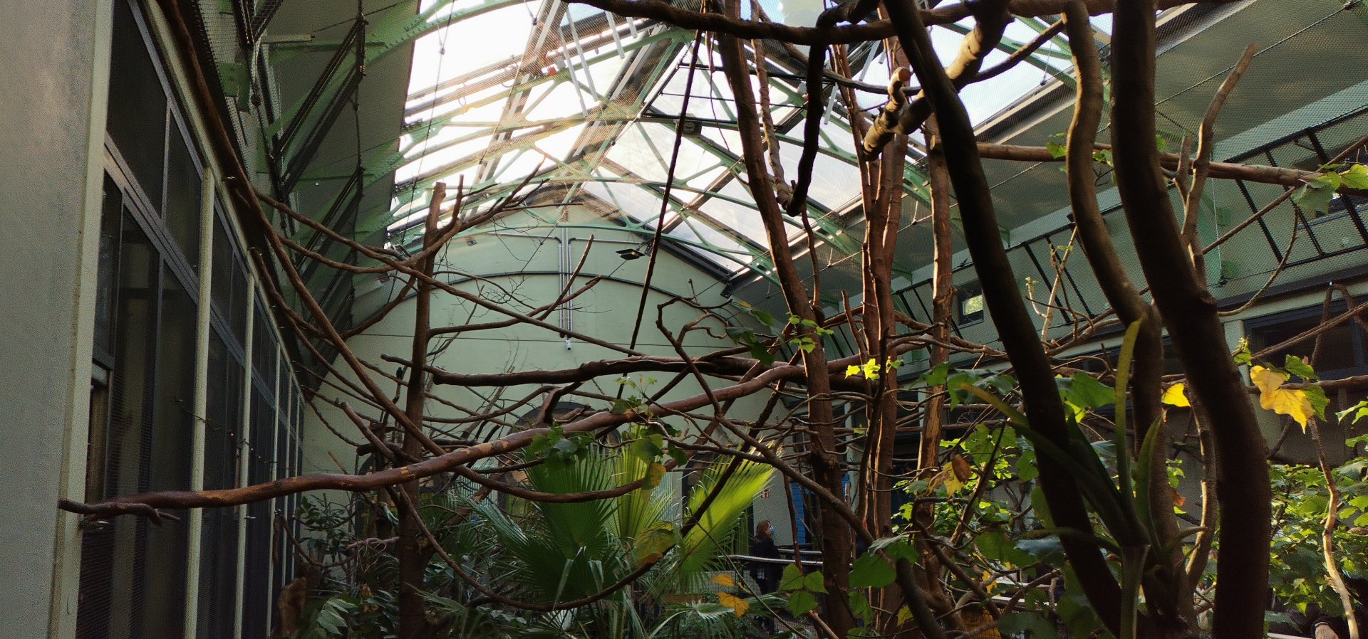 Arnulf und Elizabeth Reichert Haus, indoor