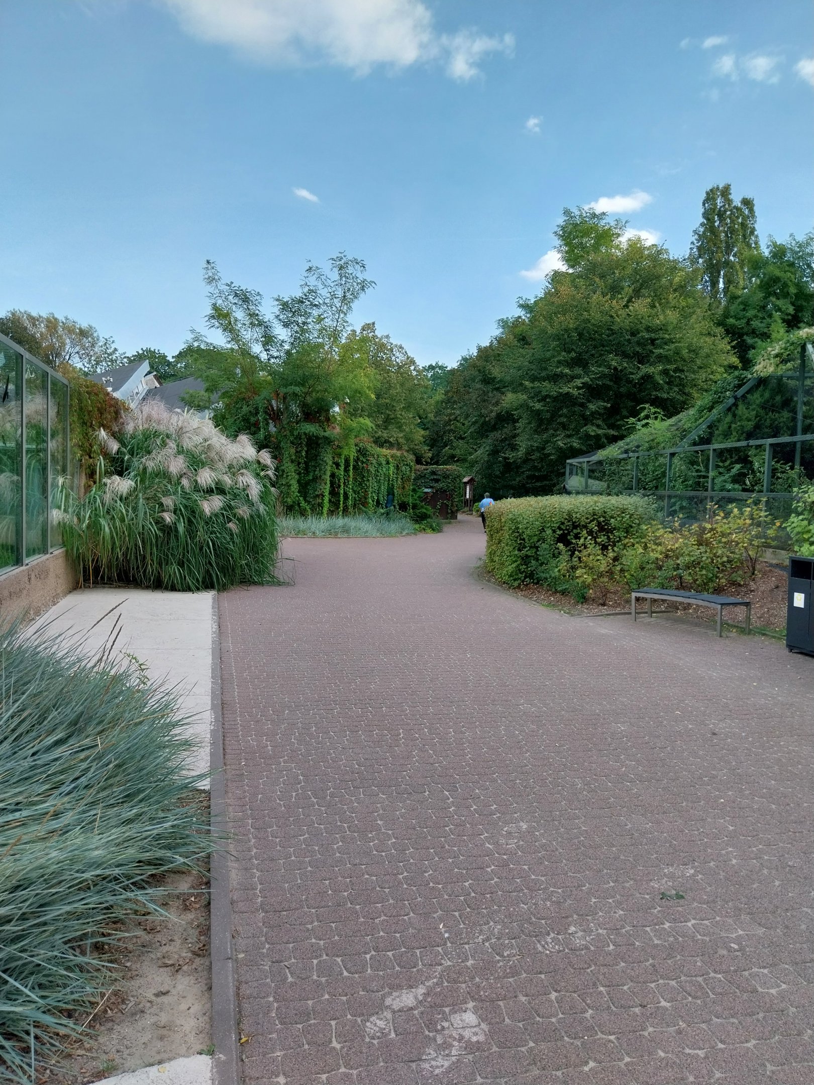 Around the felid enclosures